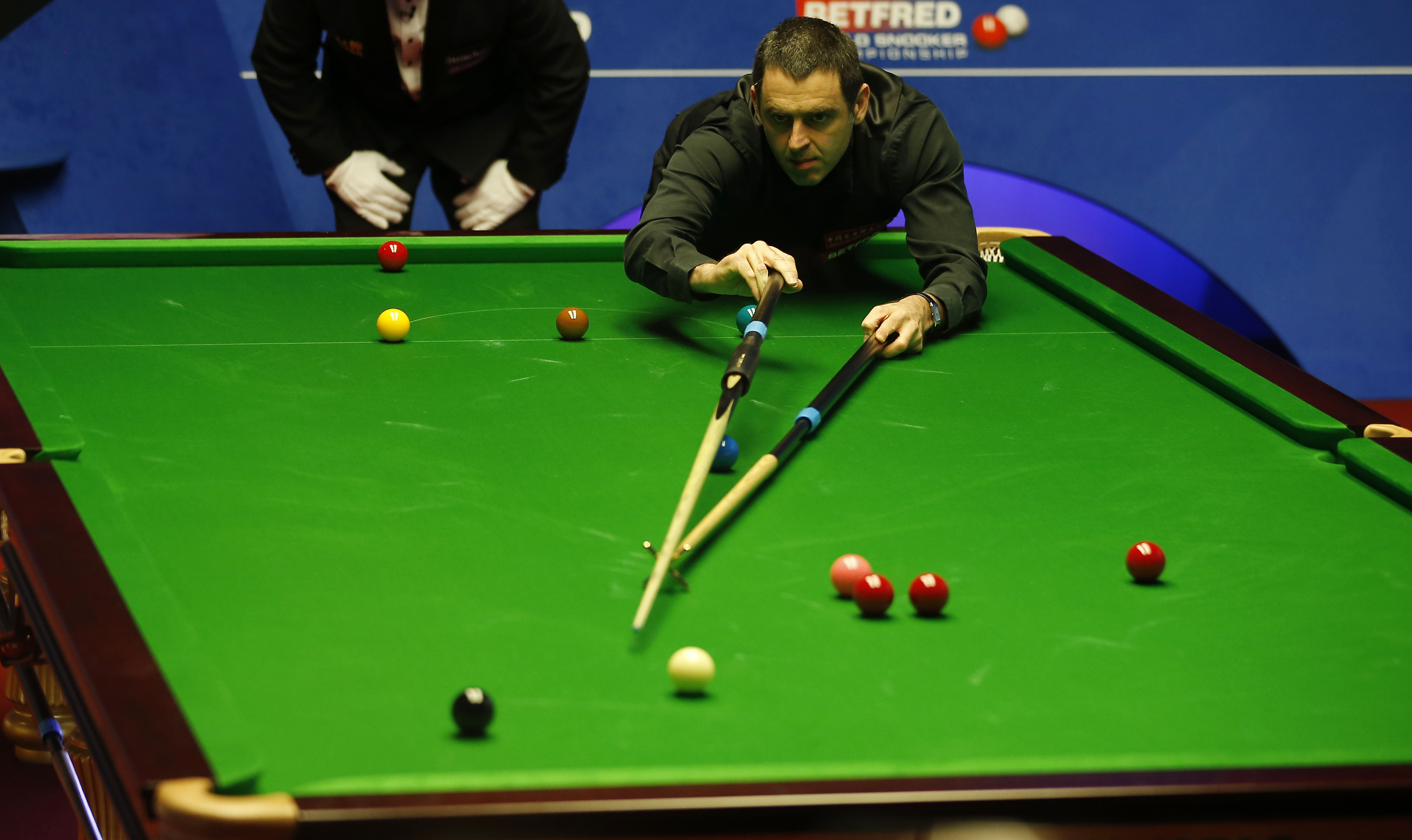 在本赛季已 在本赛季已