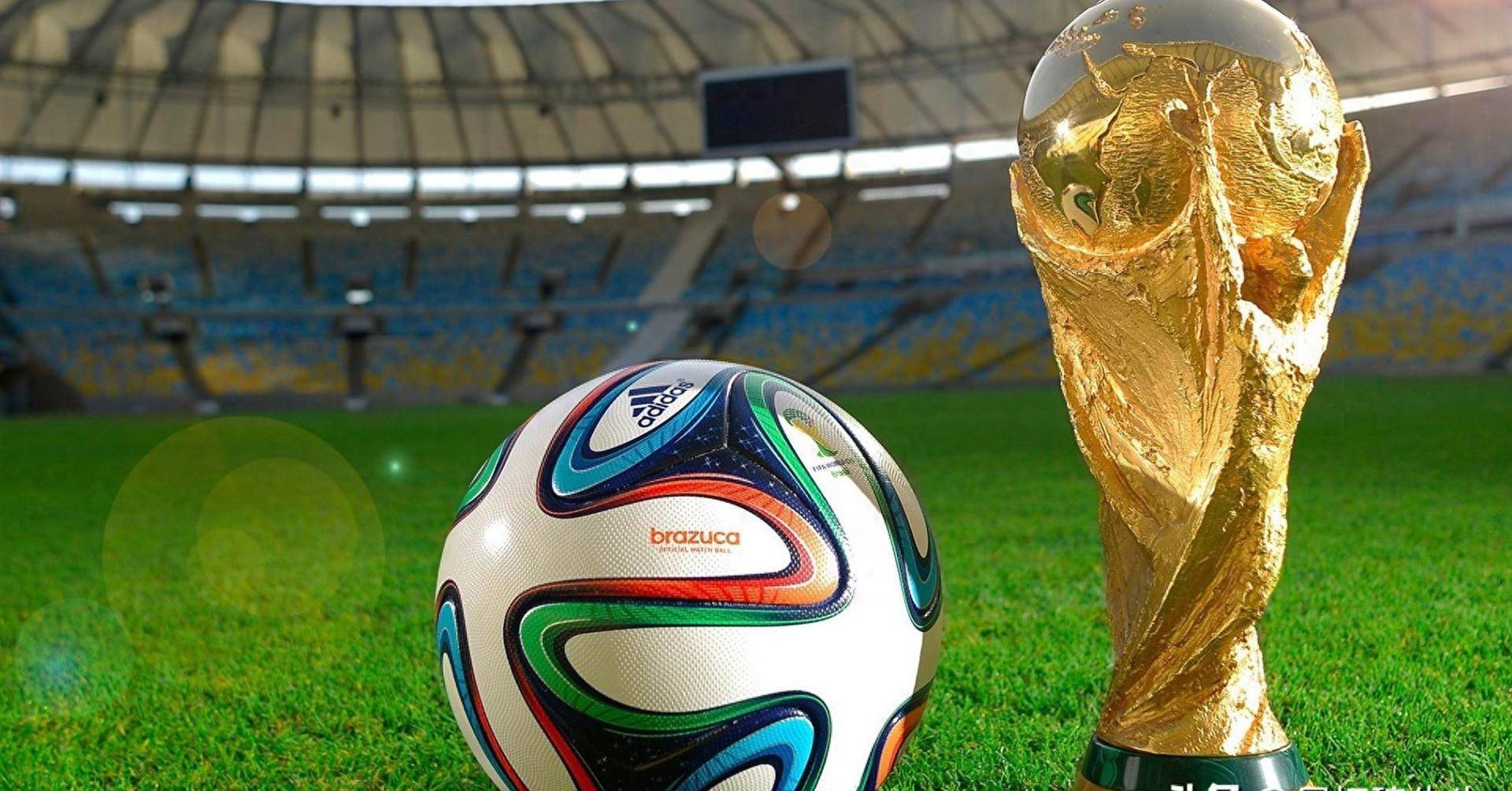 大的进步 大的进步